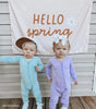 Hello Spring Banner