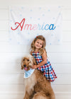 America {With Stars} Banner