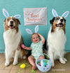 {Neutral} Best Bunnies Banner
