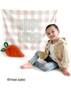 {Gingham} Hip Hop Banner