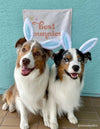 {Neutral} Best Bunnies Banner