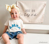 {Neutral} He is Risen Banner