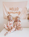 Hello Spring Banner