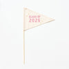 Class of 2025 Flag {Pink + Stars}