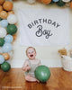 Birthday Boy Banner