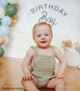 Birthday Boy Banner