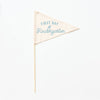 First Day of School Flag: Preschool - 12th Grade {Blue}