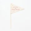 First Day of School Flag: Preschool - 12th Grade {Pink}