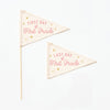 First & Last Day of School Flag Sets: Preschool - 12th Grade {Pink}