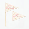 First & Last Day of School Flag Sets: Preschool - 12th Grade {Pink}