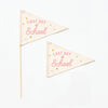 First & Last Day of School Flag Sets: Preschool - 12th Grade {Pink}