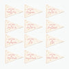 First & Last Day of School Flag Sets: Preschool - 12th Grade {Pink}