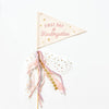 First & Last Day of School Flag Sets: Preschool - 12th Grade {Pink}
