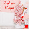 {Pink} Believe In The Magic Banner©