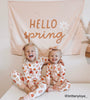 Hello Spring Banner
