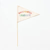 Kindergarten Graduate Flag {Rainbow)