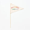 Kindergarten Graduate Flag {Rainbow)