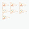 First & Last Day of School Flag Sets: Preschool - 12th Grade {Rainbow}