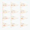 Last Day Of School Flag: Preschool - 12th Grade {Rainbow}