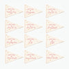 First & Last Day of School Flag Sets: Preschool - 12th Grade {Pink}