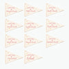 First & Last Day of School Flag Sets: Preschool - 12th Grade {Pink}