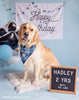 Happy Birthday Banner